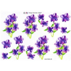 Blomster