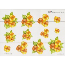 Blomster