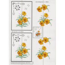Blomster