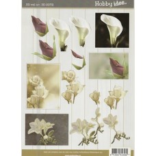 Blomster - Condolance