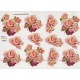 Blomster - Rose