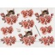 Blomster - Roser - Kat