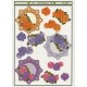 Blomster - Roser