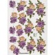 Blomster - Roser
