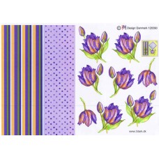 Blomster - Tulipan