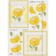 Sy Ark - Blomster - Rose - Baby