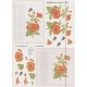 Sy Ark- Blomster