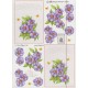 Sy Ark - Blomster