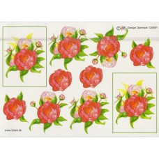 Blomster