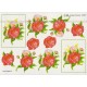 Blomster