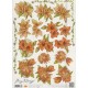 Blomster