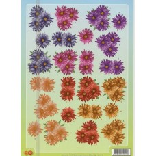 Blomster - Forskellige farver