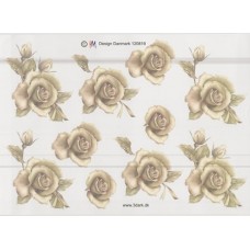 Blomster - Rose