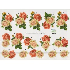 Blomster - Roser