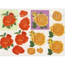 Blomster - Roser