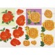 Blomster - Roser