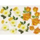 Blomster - Roser