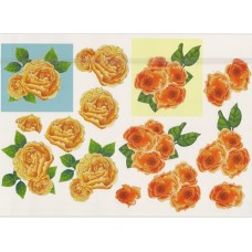 Blomster - Roser