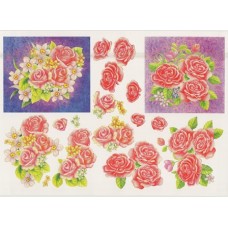 Blomster - Roser