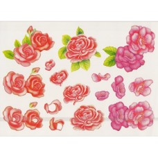 Blomster - Rose