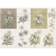 Blomster - Buket