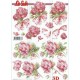 Blomster - Roser