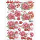 Blomster - Roser
