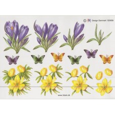 Blomster - Sommerfugle