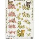 Dyr - Katte  og blomster