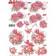 Blomster - Roser