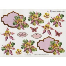 Blomster - Blomst i ramme