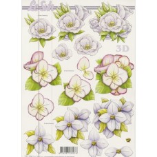 Blomster