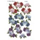 Blomster - Roser
