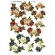 Blomster - Roser