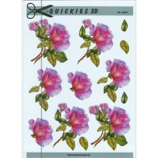 Quickies 3D - Roser 