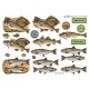Sport/Fritid - Fisk - Fars dag