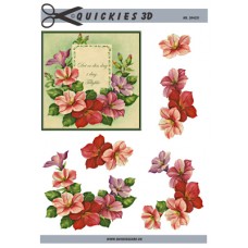 Quickies 3d - Blomster i ramme