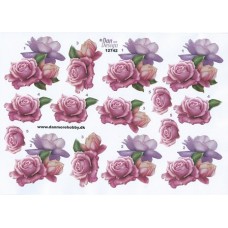 Blomster - Roser - Lilla