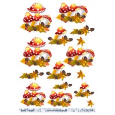 Jul - Paddehatte