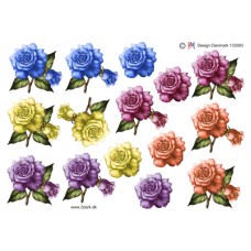 Blomster - Roser i blandet farver