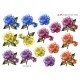 Blomster - Roser i blandet farver