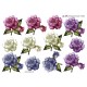 Blomster - Roser i blandet farver