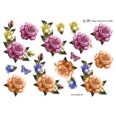 Blomster - Roser i blandet farver