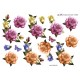 Blomster - Roser i blandet farver