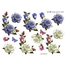 Blomster - Roser i blandet farver