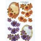 Blomster - Sommerblomster i ovale rammer - Brun og lilla