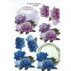 Blomster - Lilla og blå roser 