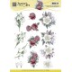Jeanine/s Art - Blomster