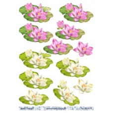 Blomster - Åkander