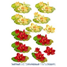 Blomster - Åkander